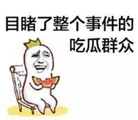 吃瓜群众在七零 穿书